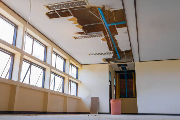 Best Water damage restoration near me  in Woodsboro, TX