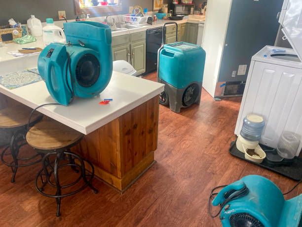 Best Commercial water damage restoration  in Woodsboro, TX