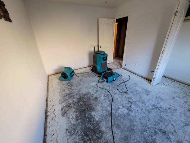 Best Mold removal after water damage  in Woodsboro, TX