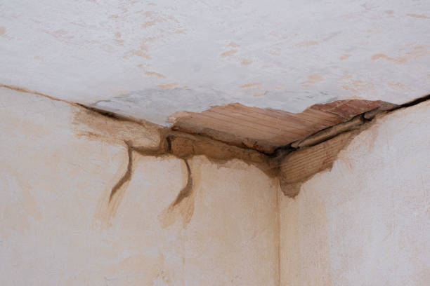 Best 24/7 water damage repair  in Woodsboro, TX