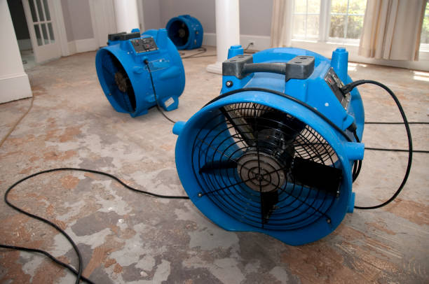 Best Water damage restoration near me  in Woodsboro, TX