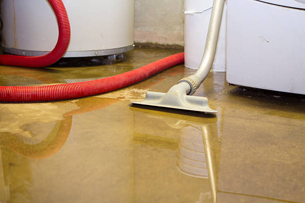 Best Water damage restoration specialists  in Woodsboro, TX