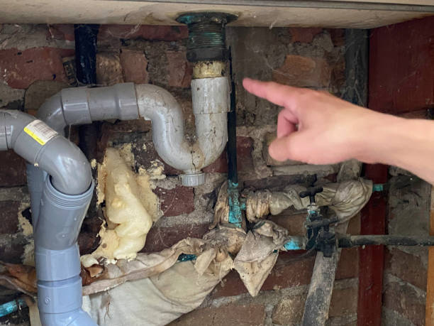 Best Fire Damage Restoration  in Woodsboro, TX